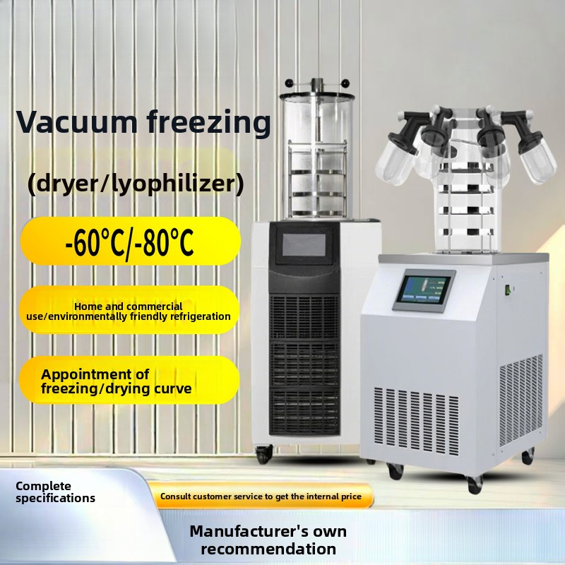 Food Snack - Vacuum Food Fruit Commercial And Household